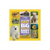 Little Kids First Big Book of Baby Animals