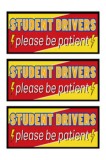 Autocolant de siguranță pentru condus cu magnet reflexiv, design desene animate 25x8.5cm &ndash; pachet de 3 bucăți