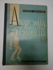 ANATOMIA SI FIZIOLOGIA OMULUI - PETRICU , VOICULESCU foto