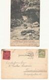 Posta locala Paltinis timbru Hohe Rinne 2 helleri din 1906 pe carte postala cu stampila violet de la Kurhaus