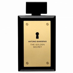 Antonio Banderas The Golden Secret Eau de Toilette pentru barba?i 200 ml foto