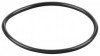 REMS O-ring 060107