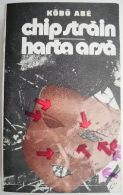Chip strain. Harta arsa &amp;ndash; Kobo Abe (coperta putin uzata) foto