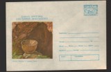 CPIB 16903 INTREG POSTAL - CERCUL SPEOTIMIS DECOPERIRI. PESTERA NADRAG