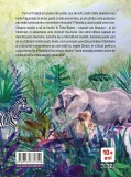 Printesa nemuritoare | Andri Snaer Magnason, Paralela 45