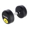 Gantera cu greutate fixa HMS HG PRO 16kg,