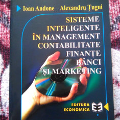 SISTEME INTELIGENTE ÎN MANAGEMENT CONTABILITATE FINANȚE BĂNCI ȘI MARKETING 1999