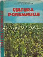 Cultura Porumbului - Florea Gruia foto