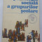 (C485) M. ZLATE - PSIHOLOGIA SOCIALA A GRUPURILOR SCOLARE