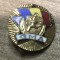 Insigna 0001 GMA RPR