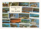 FA80 -Carte Postala- CANADA - Greetings from the 1000 Islands, necirculata, Fotografie