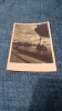 CARTE POSTALA CONSTANTA CIRCULATA 1952