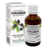 EXTRACT DIN MUGURI DE PORUMBAR 50ML, Plantextrakt