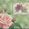 Flora trandafiri ,Joint cu China ,Noua Zelanda !