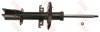 Amortizor RENAULT KANGOO / GRAND KANGOO (KW0/1) (2008 - 2016) TRW JGM1074S