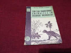 MILTIADE FILIPESCU - CUM S-AU TRANSFORMAT ANIMALELE IN DECURSUL VREMURILOR foto