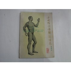 CAHIER D&#039;EXPLICATIONS POUR LES PLANCHES ANATOMIQUES DES POINTS D&#039;ACUPUNCTURE ET DES 14 MERIDIENS - imprime in Chine - unele pagini s