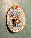 Insigna Festivalul pionierilor si elevilor reg Timisoara