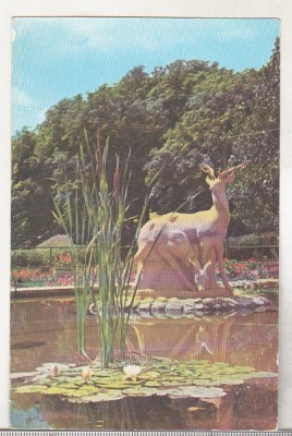 bnk cp Sfantu Gheorghe - Vedere din parc - necirculata foto