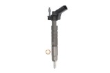 Injector MERCEDES R-CLASS (W251, V251) (2006 - 2016) BOSCH 0 986 435 404