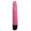 Vibrator Multi Speed 23cm