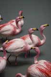 Tablou Canvas, "Dansul grațios al flamingourilor roz", Flamingo, Roz, Aglomerare, Apă, Elegant, Grațios, Exuberant, Seren, Păsări, Strălucitor, 26 x 3
