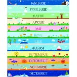 Stickere Scari - Lunile Anului