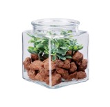 Cumpara ieftin Aranjament plante suculente si piatra 10 x 10 x 13 cm