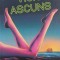 Viciu ascuns - Thomas Pynchon