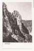 RF45 -Carte Postala- Muntii Bucegi, Brana Caprelor, circulata 1955