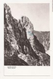 RF45 -Carte Postala- Muntii Bucegi, Brana Caprelor, circulata 1955