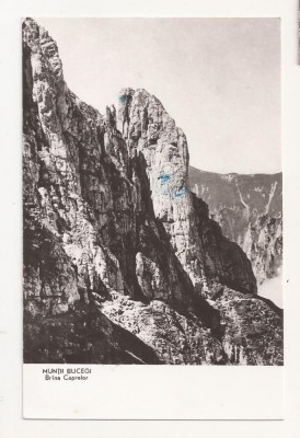 RF45 -Carte Postala- Muntii Bucegi, Brana Caprelor, circulata 1955 foto