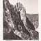 RF45 -Carte Postala- Muntii Bucegi, Brana Caprelor, circulata 1955
