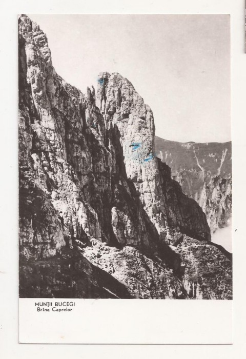 RF45 -Carte Postala- Muntii Bucegi, Brana Caprelor, circulata 1955