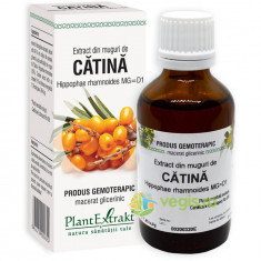 Extract din Muguri de Catina 50ml