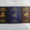 CRONICILE WARDSTONE - JOSEPH DELANEY - 3 VOLUME - 1,2,3 (VRACIUL)