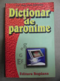 DICTIONAR DE PARONIME 2004