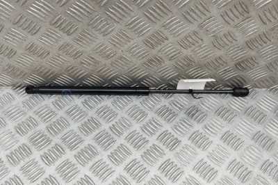 Amortizor capota dreapta față FORD USA Mustang Mach-E 2022 OEM: LJ8B-R16C826-AB | 22749521 foto