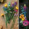 Buchet de flori de camp - 10