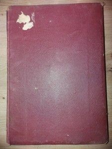 Instrainatii Studiu social in forma de roman- Dumitru C. Moruzi