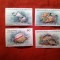 Serie Grenadines of St Vincent 1985 Fauna marina 4 valori