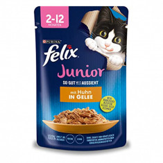 Pliculeț FELIX Junior Fantastic cu pui în gelatină 85 g