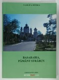 BASARABIA , PAMANT STRABUN de VASILICA MITREA , 2014