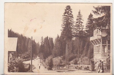 bnk cp Borsec - Spre izvoare - uzata 1952 - Libraria noastra foto