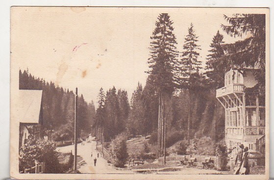 bnk cp Borsec - Spre izvoare - uzata 1952 - Libraria noastra
