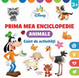Disney. Prima mea enciclopedie. Animale (caiet de activitati) - Litera