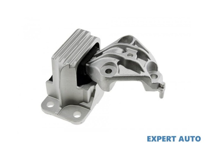 Tampon motor Renault Fluence (2010-&gt;)[L3_] #1