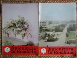 APICULTURA IN ROMANIA ANUL 1978 , LOT 2 REVISTE