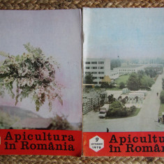 APICULTURA IN ROMANIA ANUL 1978 , LOT 2 REVISTE