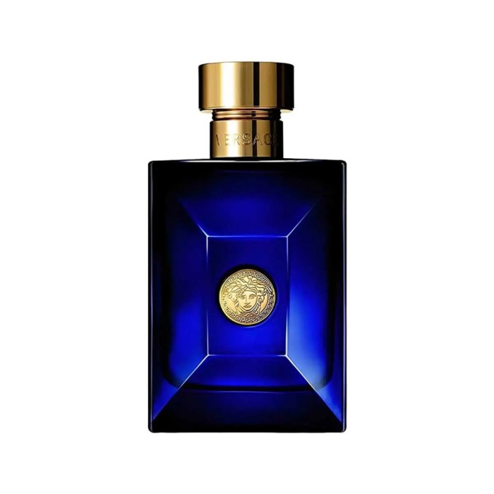 Versace, Dylan Blue, Apă de toaletă, Bărbați, 100 ml